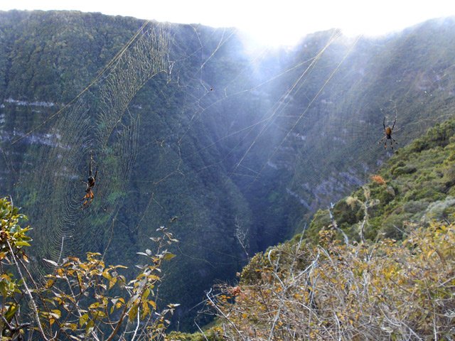 Les bibes veillent tout au long du sentier
