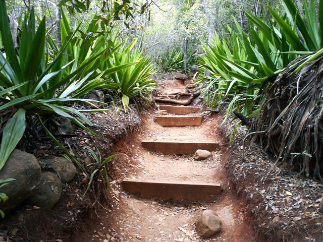 De plus en plus de chocas le long du sentier