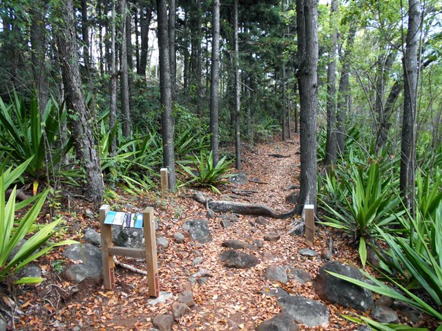 Le sentier quitte le GRR2 et devient plus facile