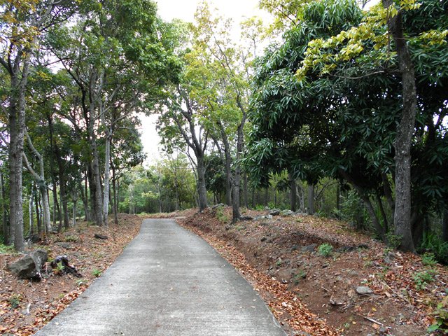 On emprunte quelques dizaines de mètres de piste bétonnée