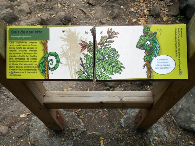 Des pancartes ludiques à plateaux tournants peuvent intéresser les enfants