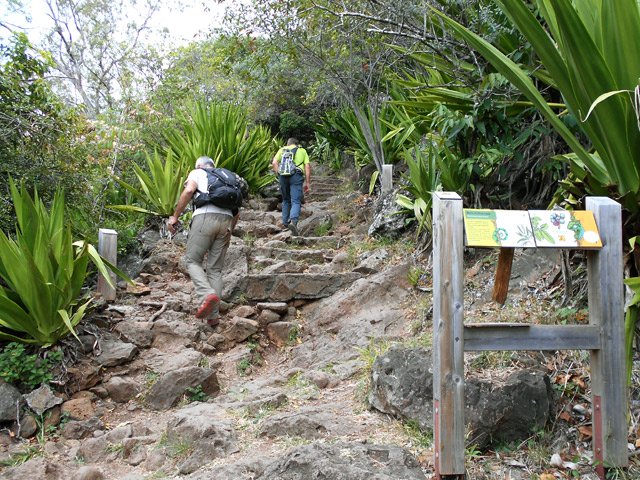 Les hautes marches du GRR sont aussi pour les amateurs de botanique