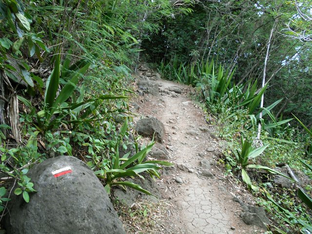 D'autres portions sont beaucoup plus faciles