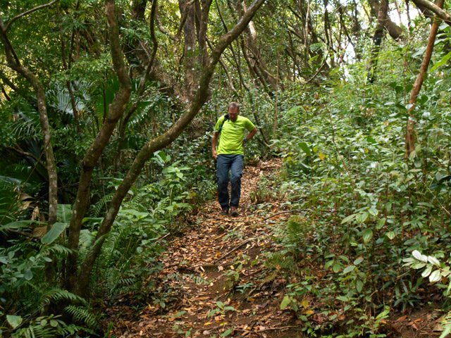 La descente vers la Ravine des Figues