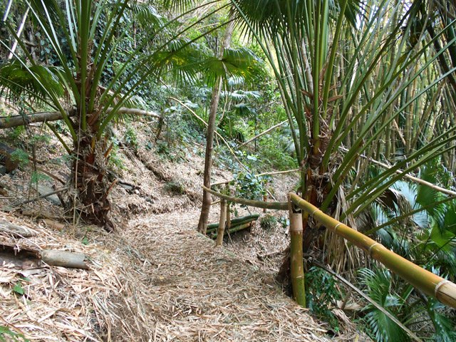 La balade sera agréable lorsque tout le trajet sera ainsi nettoyé