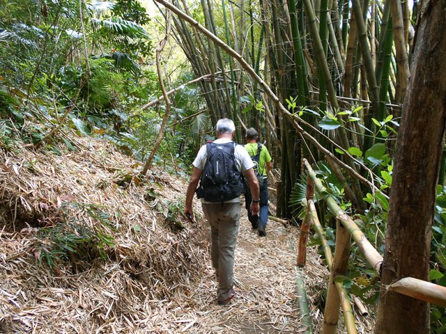 Balade à plat le long de la Ravine des Figues