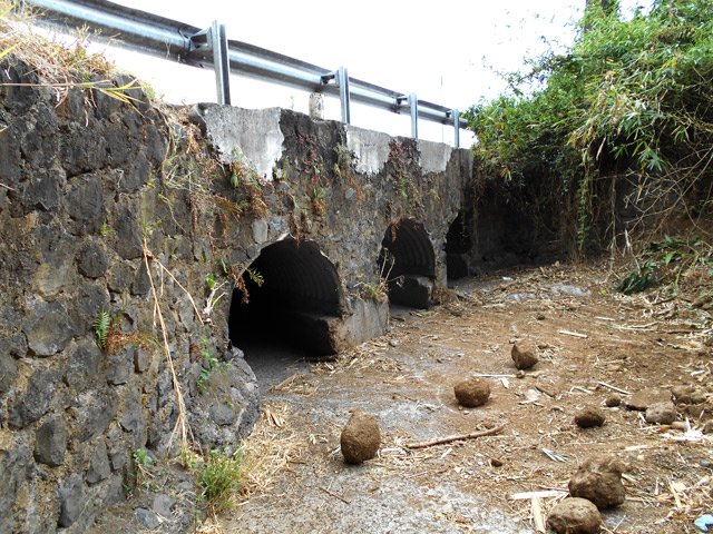 Fin de la descente au pont sur la RD62