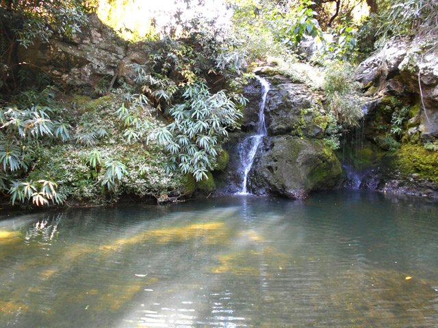 La bassin Pilon et sa petite échelle à 3 barreaux