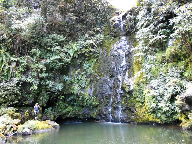 La dernière chute qui signe le retour vers le Gol
