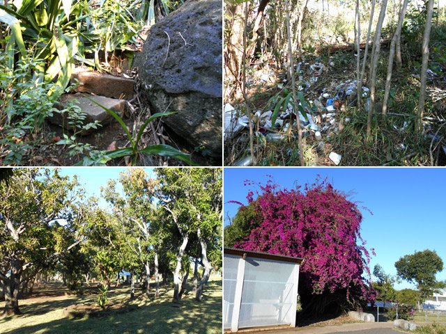 D'anciennes marches, les ordures et le site du Parc du Gol