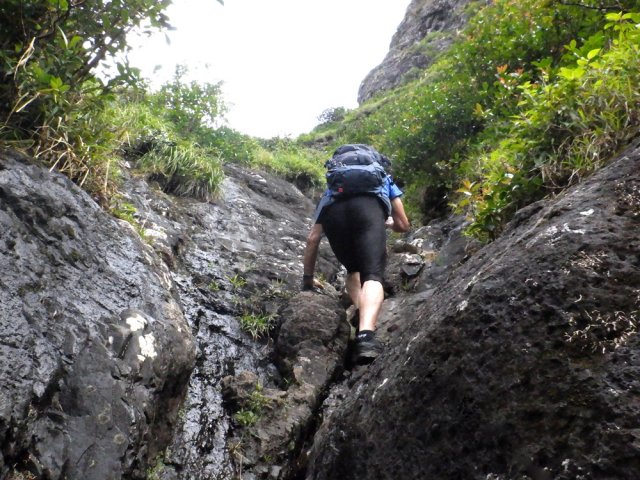 Éviter les portions rendues humides par les sources et écoulements
