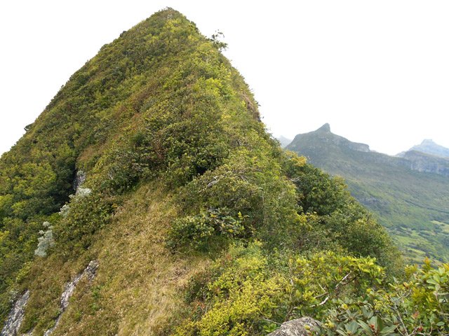 Le sommet sur la gauche avec vue sur Le Pouce