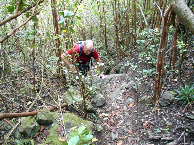 On rencontre, comme partout, de hautes marches à escalader