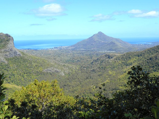 Meilleure vue sur la Tourelle du Tamarin depuis le point de vue du virage