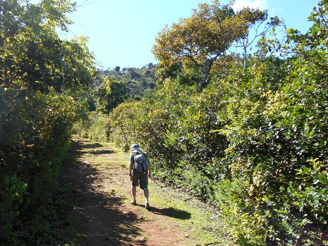 La montée continue dans les bois de couleurs
