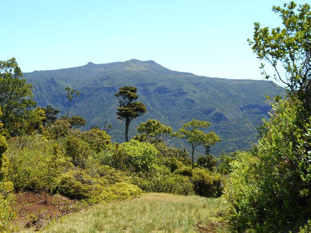 Belle piste avec vue sur la vallée et le Piton de la Petite Rivière Noire