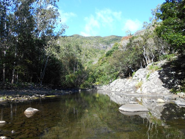Arrivée à la Black River qui coule calmement sur ce sol plat