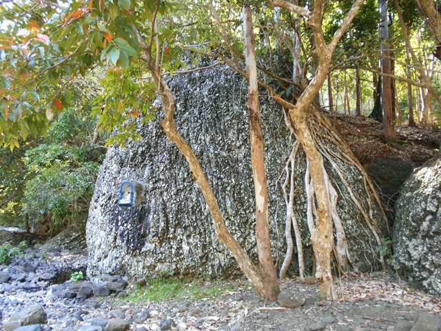 Belles roches et arbres en rive droite de la Rivière Noire