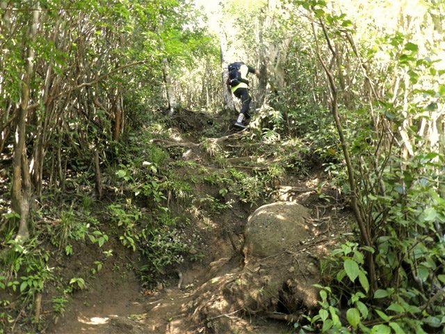 S'il n'y a pas de racines, la terre est aussi glissante