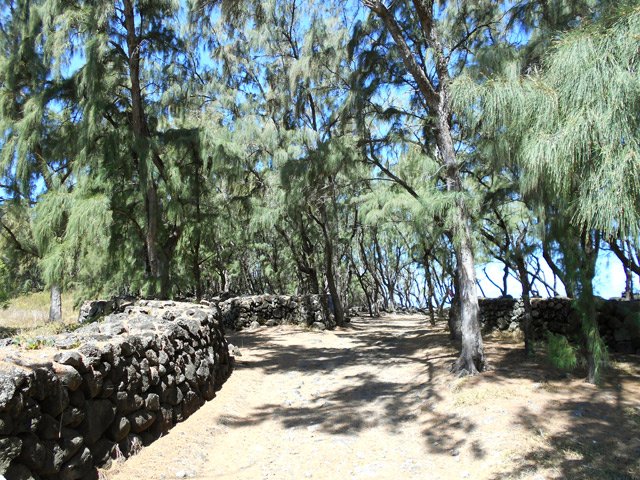 La zone de pique-nique entourée de murettes de pierres sèches