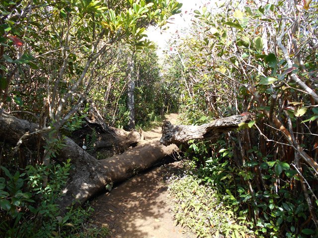 Jamais un point culminant ne s'atteint aussi facilement