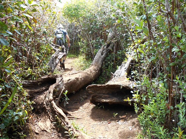 Un reste de cyclone peu gênant