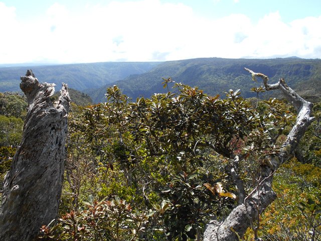 Le Parc National de la Rivière Noire