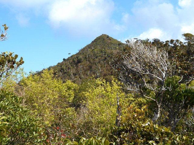 Depuis une clairière, on devine la dernière montée au sommet