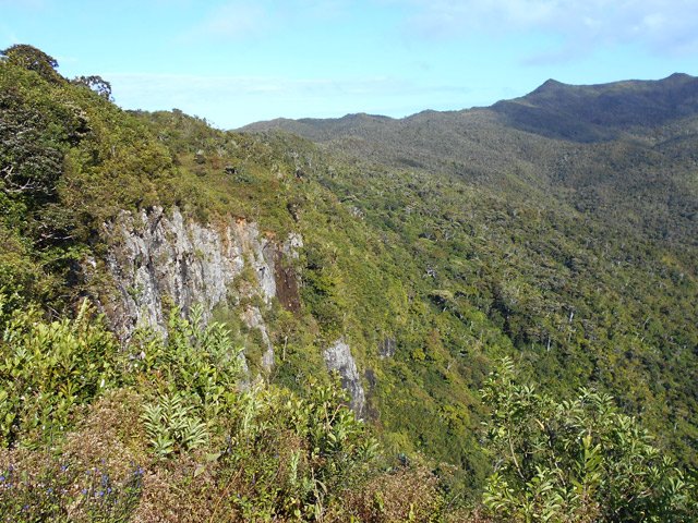 Toujours depuis le belvédère, vue sur le Piton de la Petite Rivière Noire