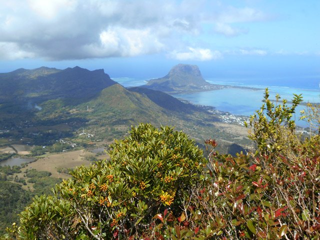 Vers le sud, le Morne Brabant et le Piton du Fouge