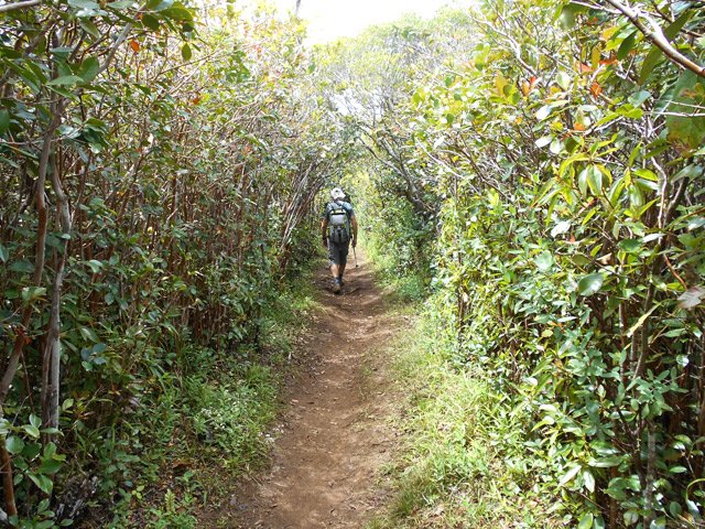 Retour par le même sentier agréable jusqu'à la fin