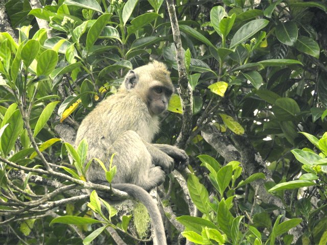 Ils sont toujours là pour amuser les touristes