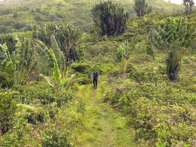 Montées et descentes se succèdent sous les ravenales