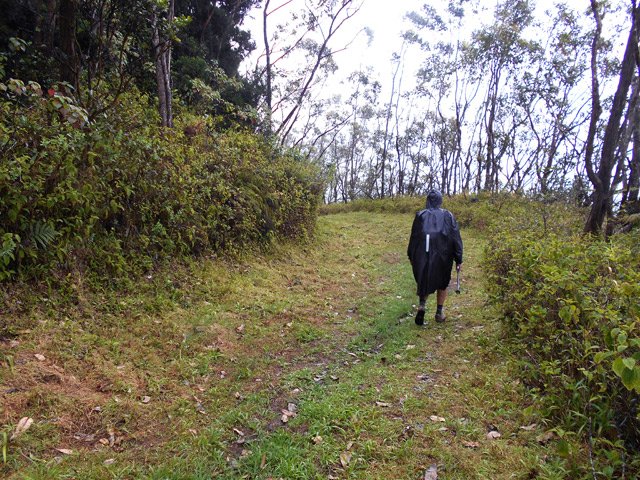 La piste descend régulièrement vers le début du sentier