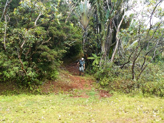 Le sentier part sur la droite, impossible à manquer