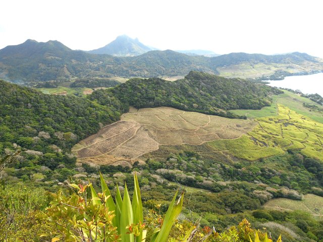Du premier point de vue, panoramas sur les champs de canne