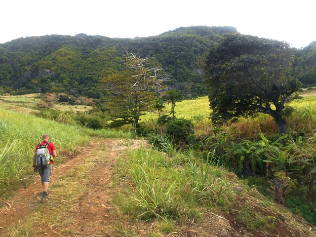Viser dès le départ le badamier droit devant avant de partir à droite