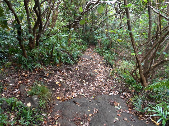 La descente reprend pour rejoindre Vieux Grand Port
