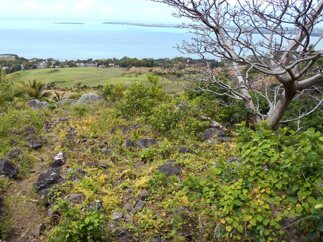 Après quelques écueils, arrivée aux premiers champs
