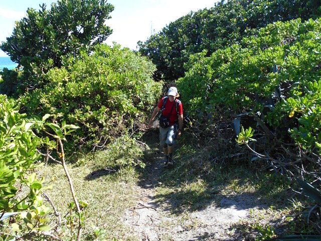 Le sentier le long des plages