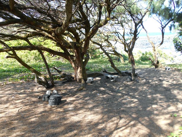 Le coin pique-nique à côté d'une petite plage de sable fin