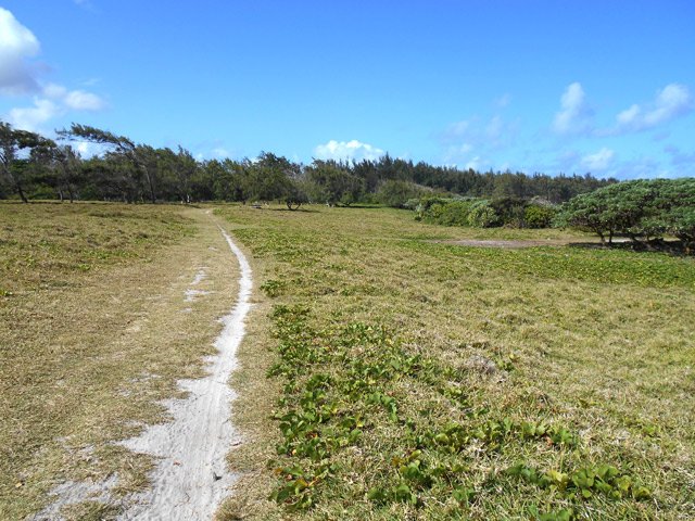 On trouve difficilement plus plat comme sentier