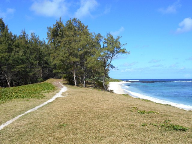 Il chemine ici sur le haut d'une dune proche d'une jolie plage