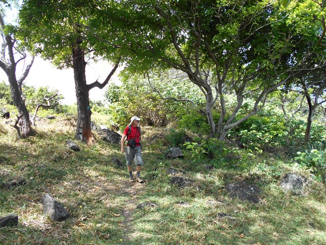 Balade dans l'herbe avant de faire demi-tour