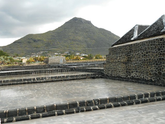 Plusieurs salines sont en activité dans la petite ville de Tamarin