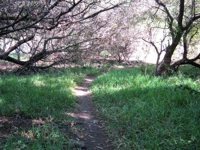 Une autre portion de sentier entre les hôtels
