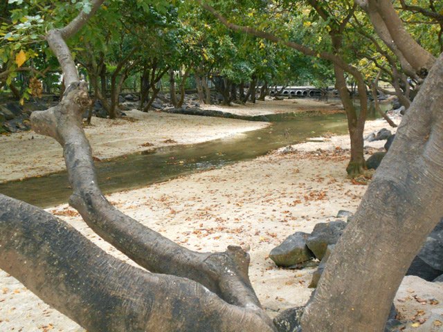Petit coin ombragé le long de la rivière