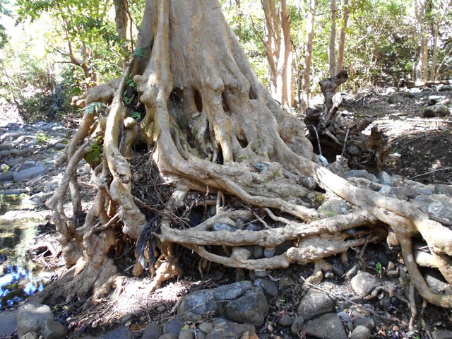 Une autre encore plus tortueuse