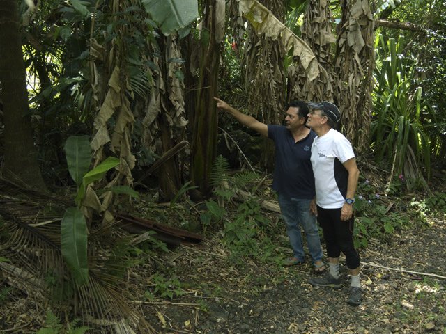 Des oiseaux partout mais c'est l’œil averti de Jim qui permet de les repérer