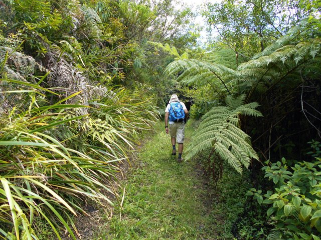 Départ du gîte en direction de la RF des Camphriers